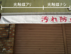 光触媒アリ